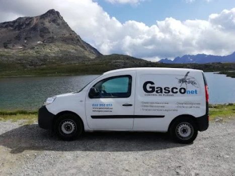 Gasconet Control de Plagas Alcoy