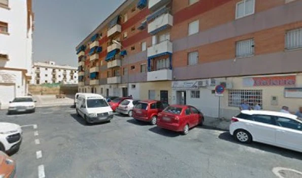 Fumigaciones y Tratamientos Huelva Control