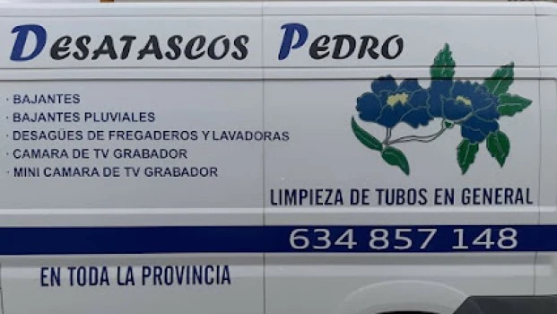 Desatascos Pedro Flores
