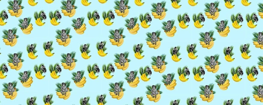 Kings of Mambo