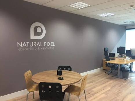 NATURAL PIXEL - Agencia Web y marketing online en Sevilla