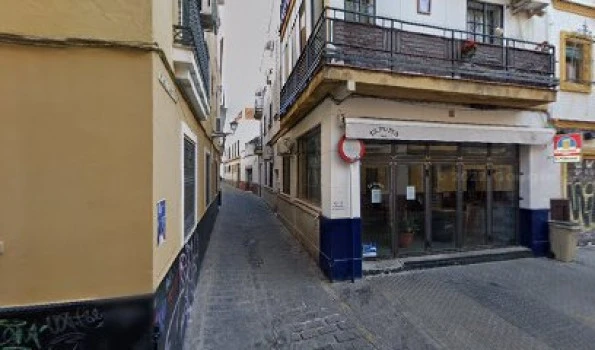 IMM Diseño