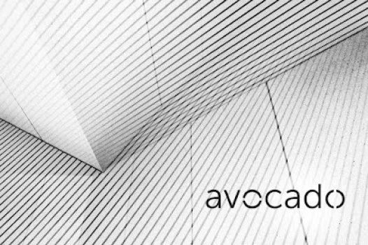 Avocado - Estudio de branding y diseño estratégico en Vitoria-Gasteiz
