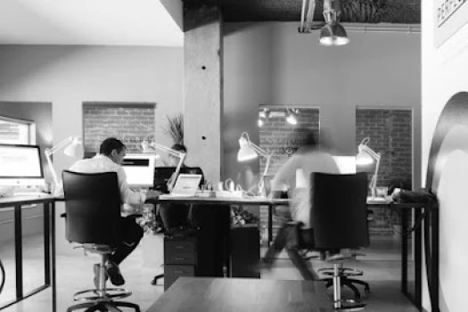 Cálido - Estudio de Diseño, Branding y Comunicación visual
