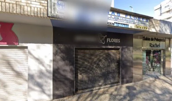 Antenas Flores
