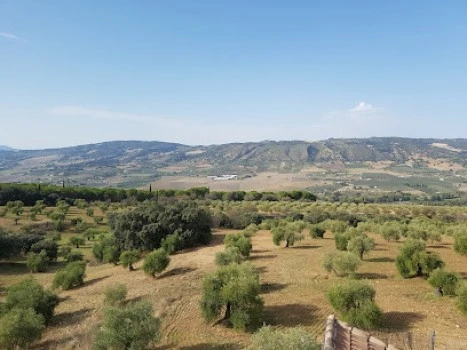 VOLTASUR
