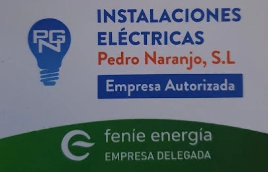 Instalaciones Eléctricas Pedro Naranjo S L
