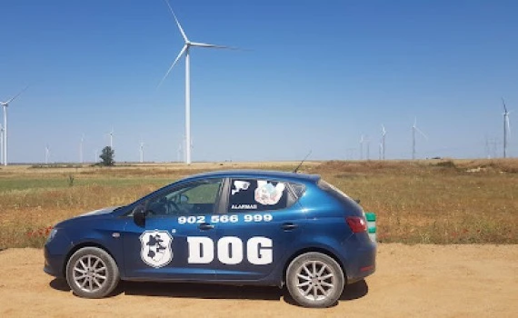 DOG SEGURIDAD PALENCIA