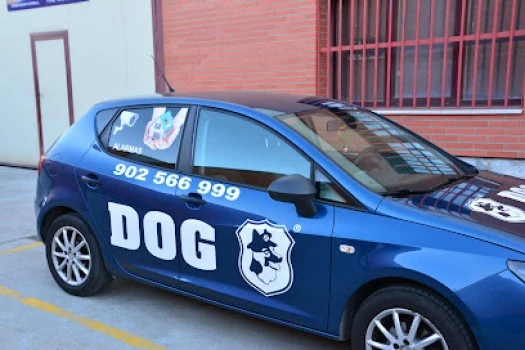 Alarmas DOG Seguridad Valladolid
