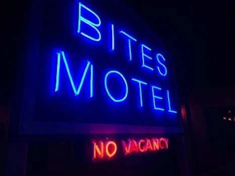Bite the Fly Escape Room