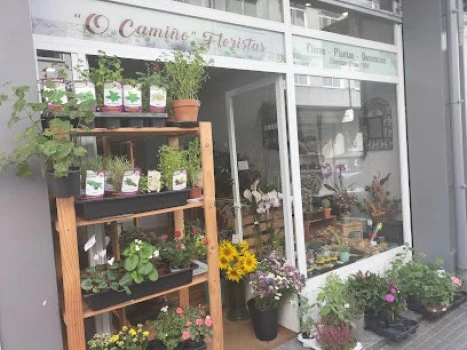 Raíces Floristas
