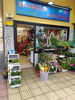 Floristería Bromelia