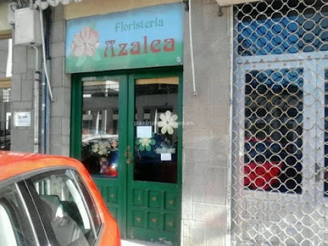 Floristería Azalea