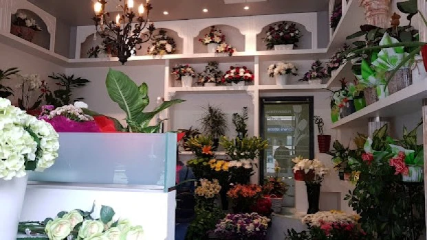 Floristería Tropicana