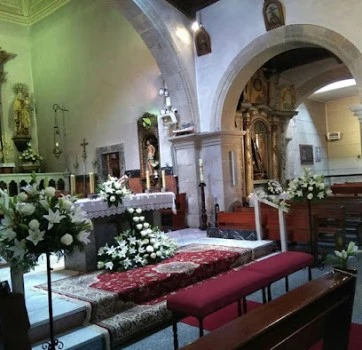 FLORES MAYCA