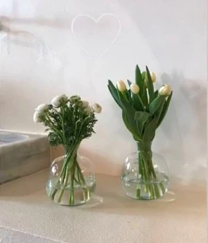 Complementos Larrinoa. Mayoristas de floristería (Agurain) ????