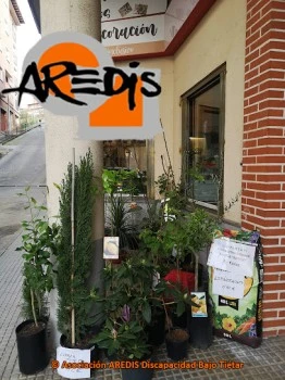 AREDIS Discapacidad - Tienda