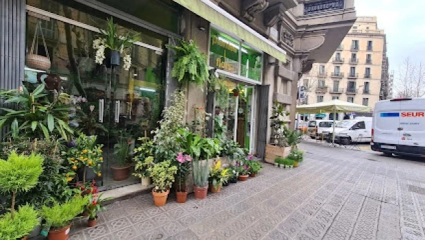Floristeria Racó Verd Barcelona