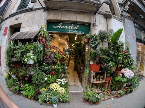 ANNABEL Floristeria