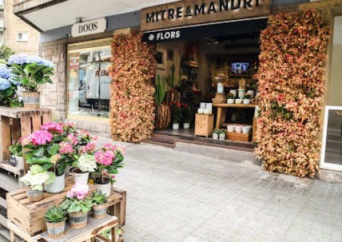 Mitre &amp; Mandri Flors