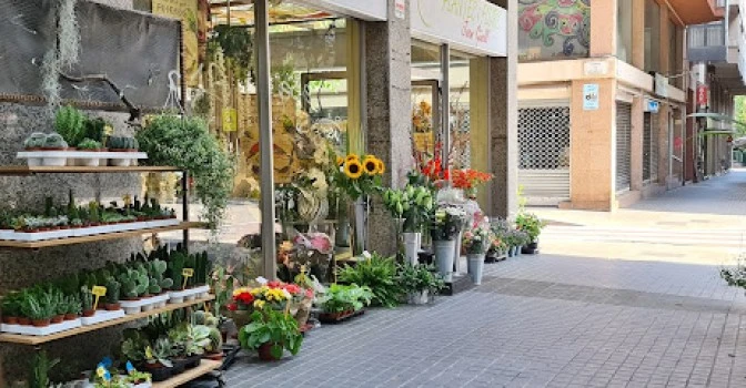 Plantes i Flors Joan Güell