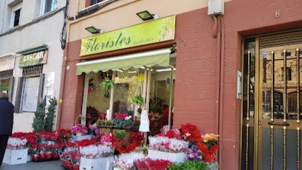 Floristeria Serrano Desde 1971