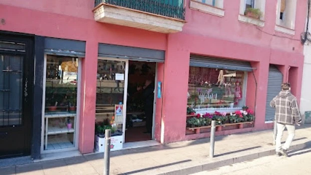 Lola Floristeria
