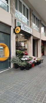 Floristería Carlos Poles