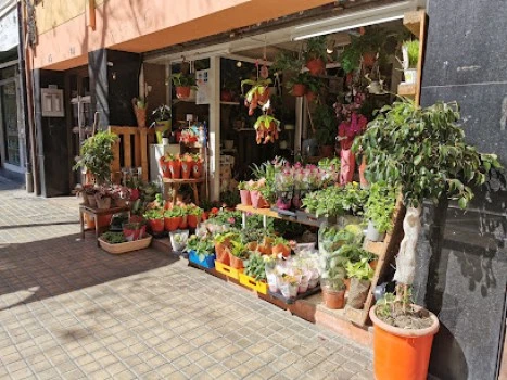 Floristeria Deltaquari