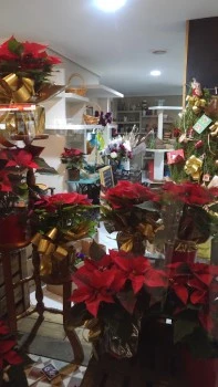 SELDEFLORES