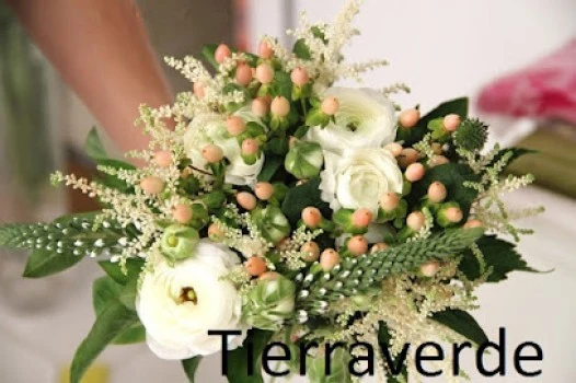 Floristería Tierra Verde