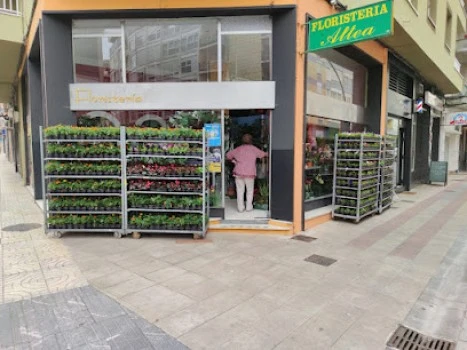 FLORISTERÍA ALTEA