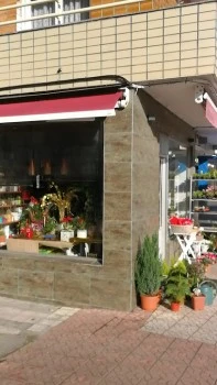 Floristería Surcos