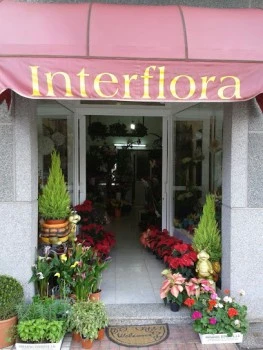 Floristería Amaflor