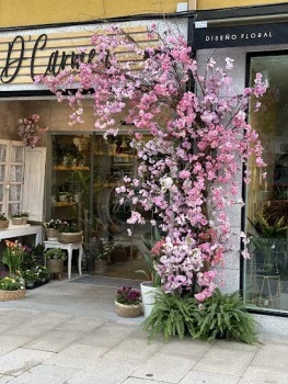 Diseño Floral D'carmen
