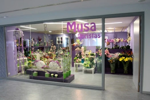 Musa Floristas-Hospital Hula