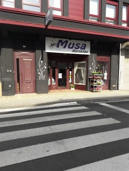 Musafloristas