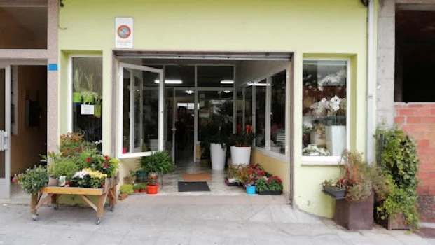 Floristería Divina