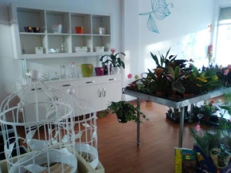 Floristería Cillero