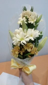 Azucena Floristería