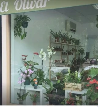 Floristería el Olivar