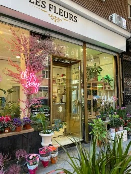 Floristería Les Fleurs - Envío de Flores, ramos y plantas a domicilio