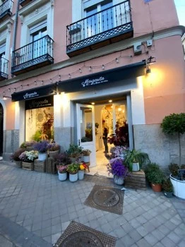 Margarita se llama mi Amor - Floristería en Madrid - Flores a domicilio