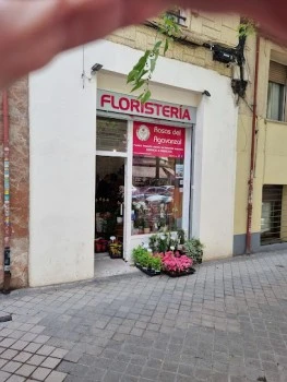 Enviar flores Madrid floristería