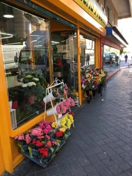 Floristería Pradillo