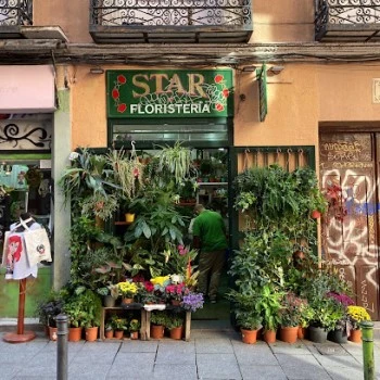 Floristería Star