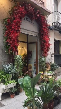 La Floriqueta