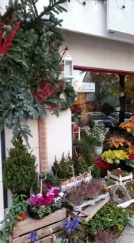 Patio Floristeria