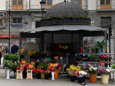 Flores Amparo, Floristería