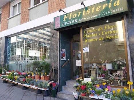 Floristería Ávalon